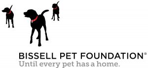 bissell_pet_foundation